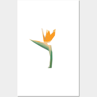 Flower geometric minimal Bird of paradise Posters and Art